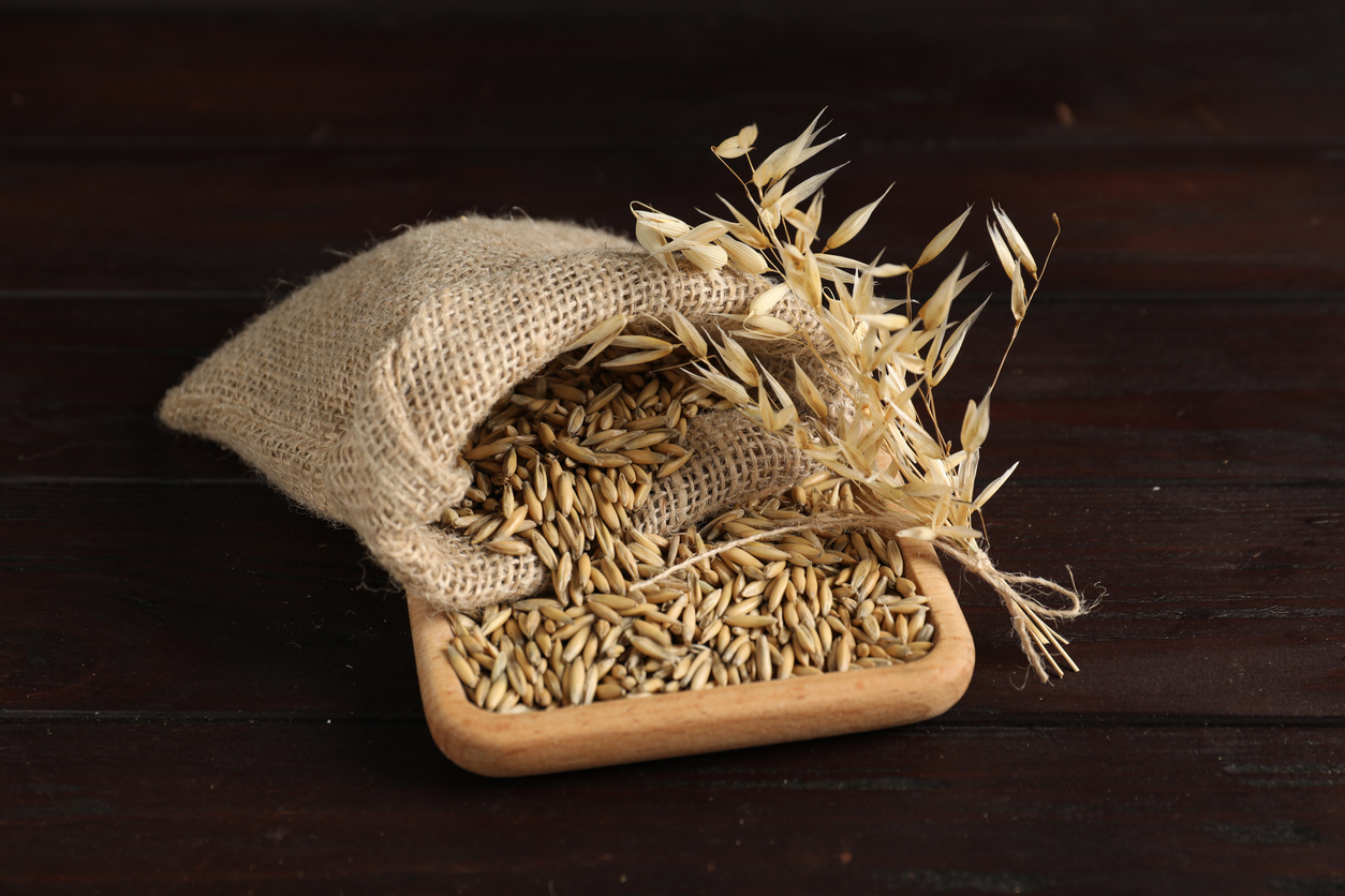 A sack of harvested porridge oat groats